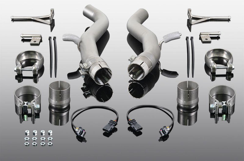 AC Schnitzer Silencer "Sport Carbon" for M2 Competition